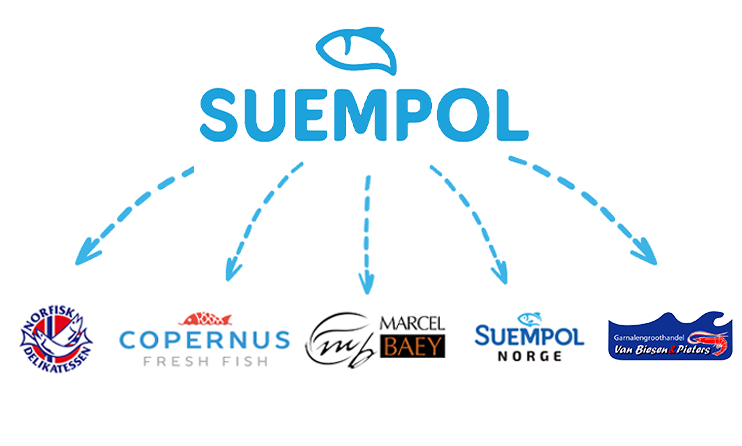 hierarchia firm z Grupy Suempol